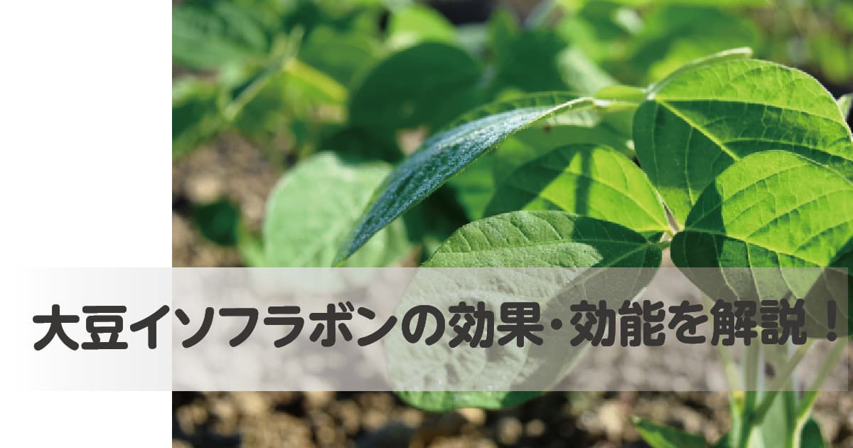大豆イソフラボンの効果・効能を解説！