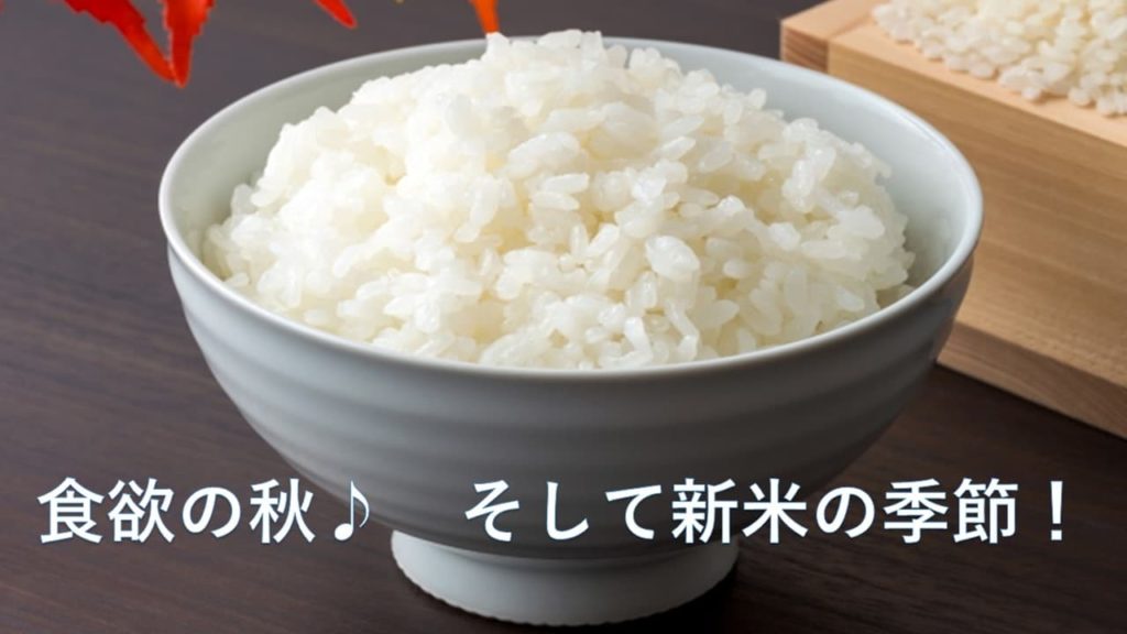 食欲の秋♪そして新米の季節！