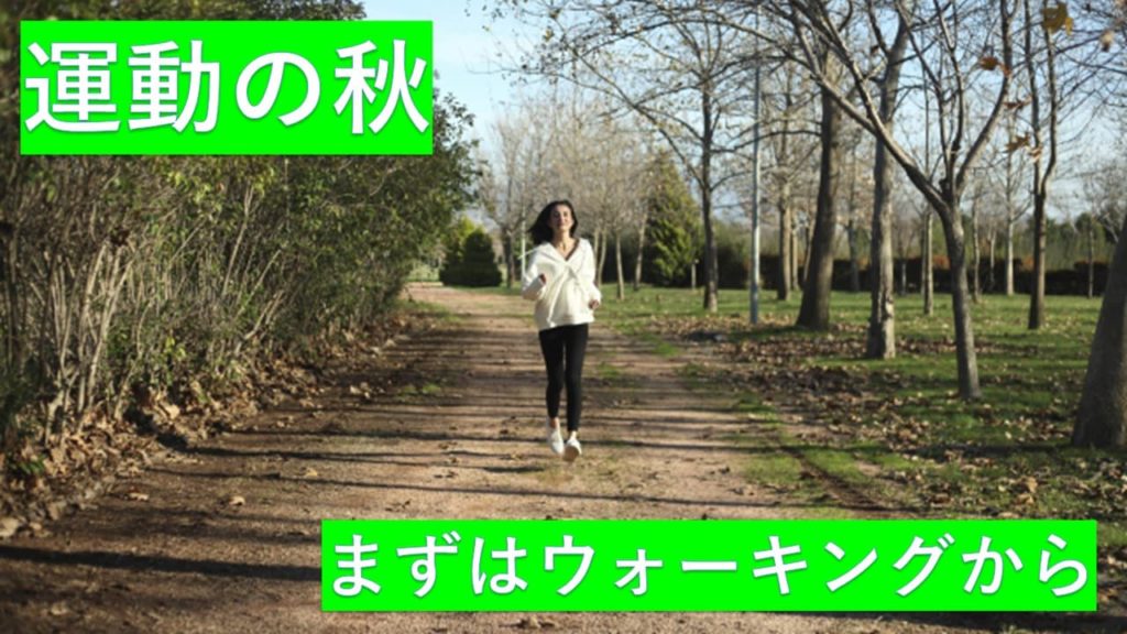 運動の秋まずはウォーキングから