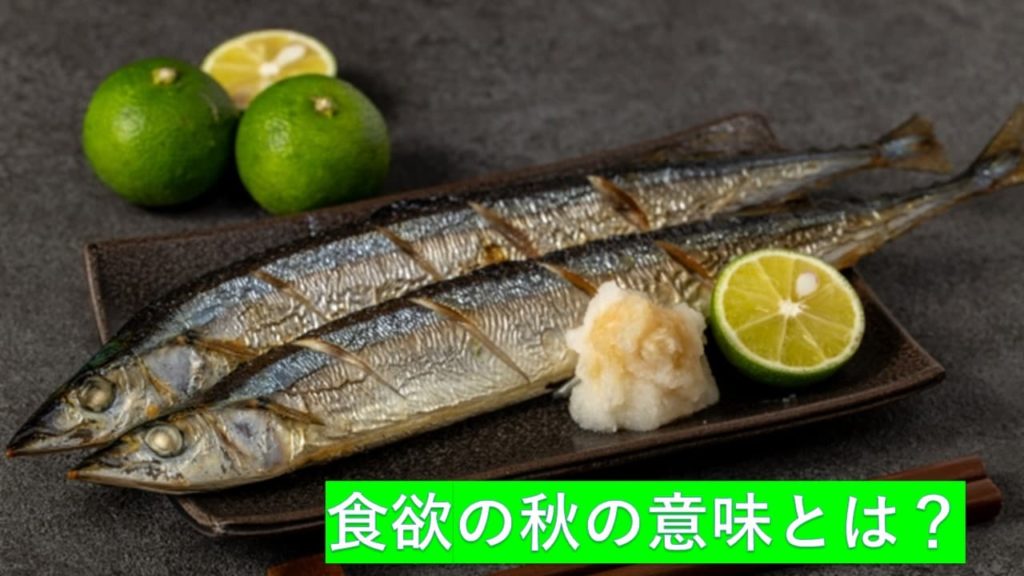 食欲の秋の意味とは？