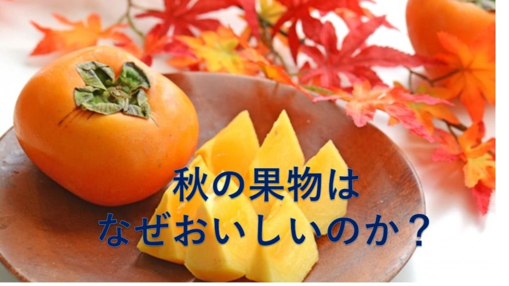 秋の果物はなぜおいしいのか？