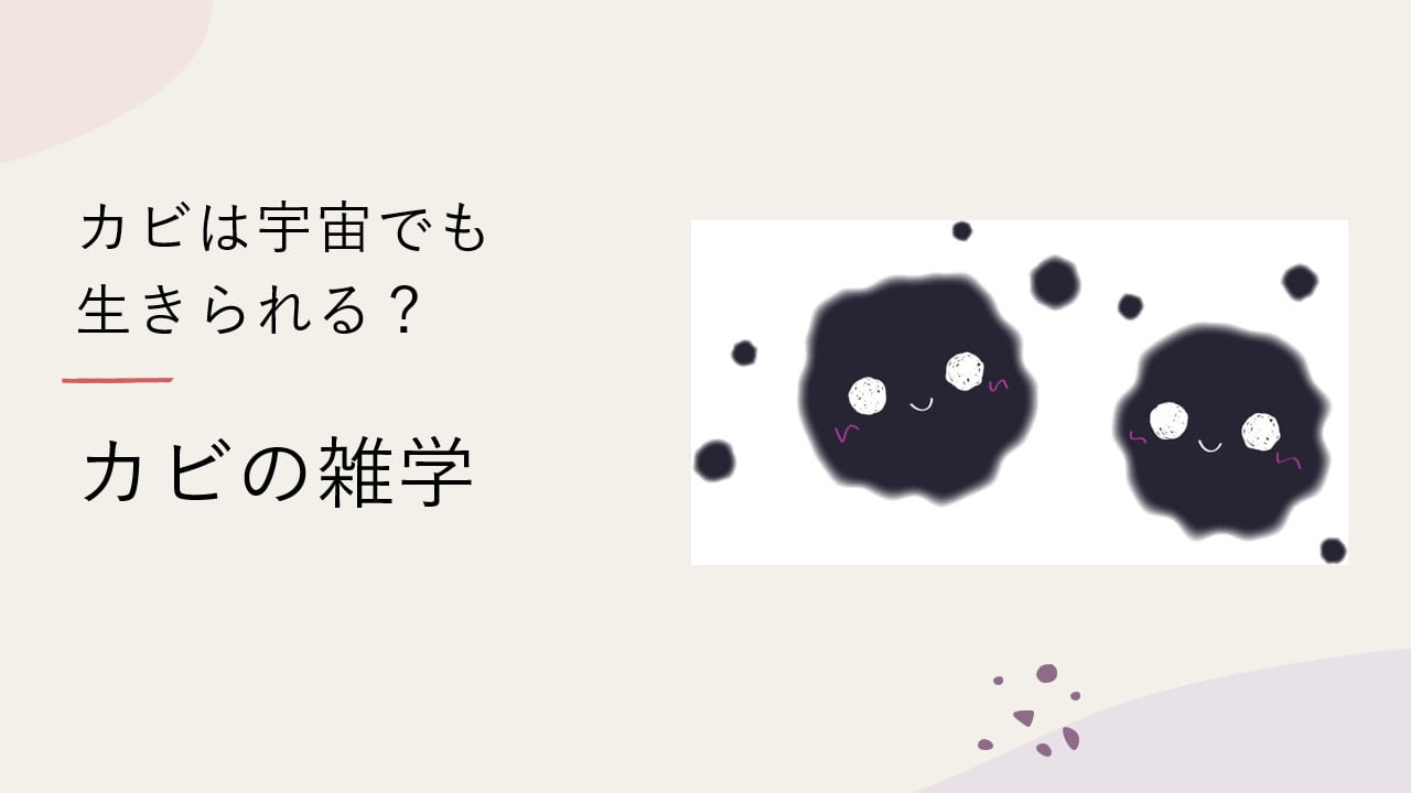 カビは宇宙でも生きられる？カビの雑学